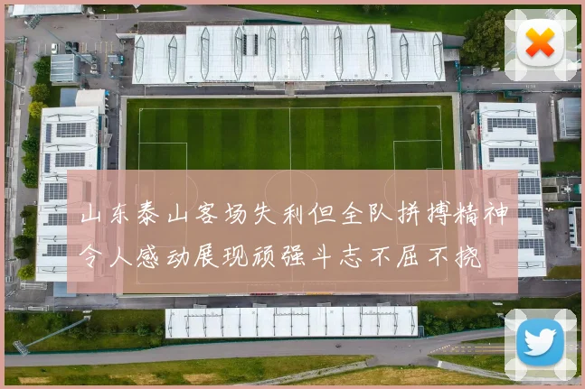 山东泰山客场失利但全队拼搏精神令人感动展现顽强斗志不屈不挠