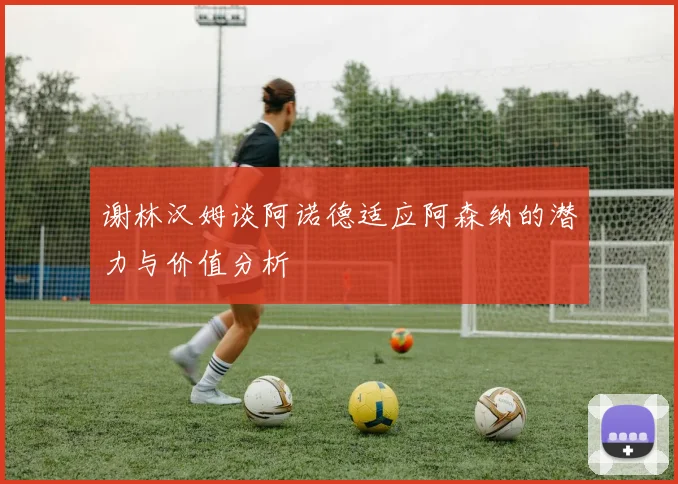 谢林汉姆谈阿诺德适应阿森纳的潜力与价值分析