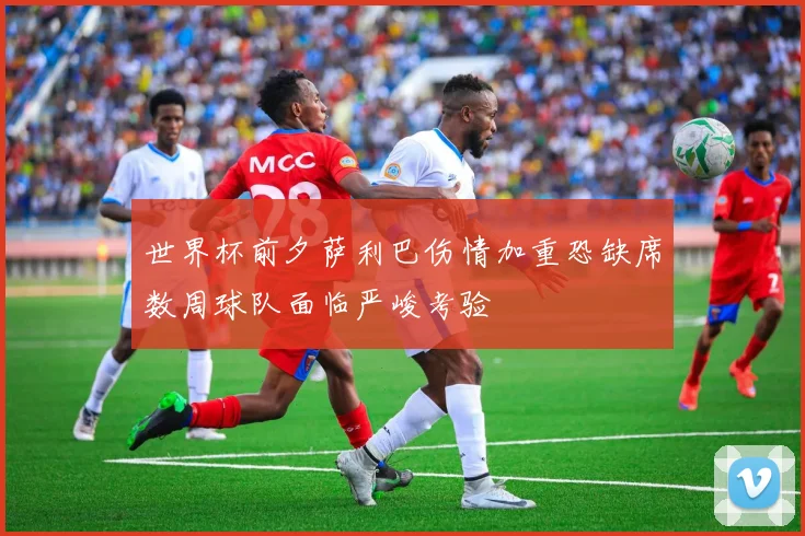 世界杯前夕萨利巴伤情加重恐缺席数周球队面临严峻考验